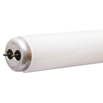 Picture of Garage And Basement Linear Fluorescent Bulb T8 G13, 25 W, Cool White, 24/carton