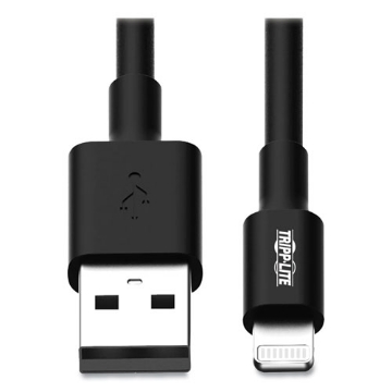 Picture of Apple Lightning to USB Cable, 10 ft, Black