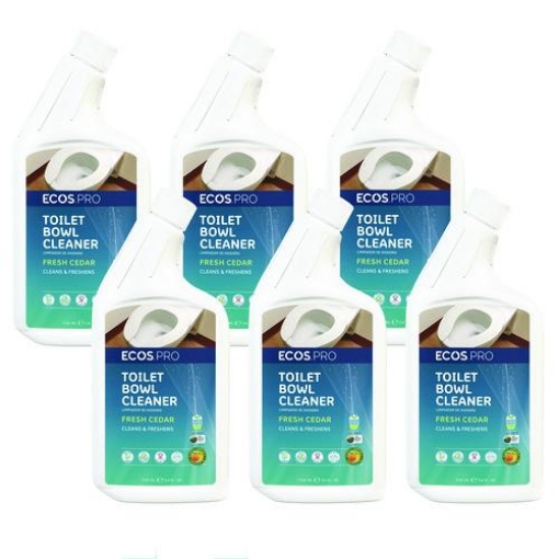 Picture of CLEANER,TLTBWL,24OZ,6CT